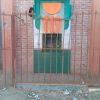 WhatsApp Image 2025-01-03 at 5.04.21 PM