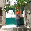 WhatsApp Image 2026-05-06 at 12.55.55 PM